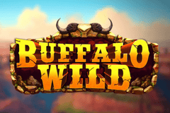 Buffalo Wild